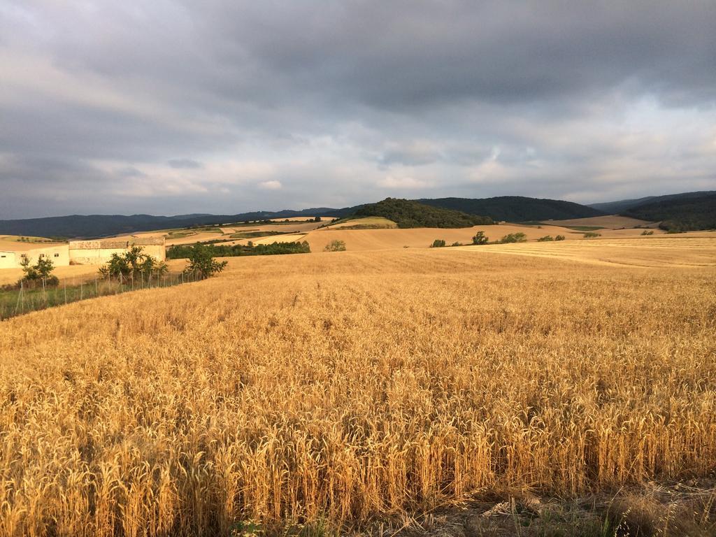 Mihotelito Viloria de Rioja エクステリア 写真